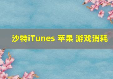 沙特iTunes 苹果 游戏消耗